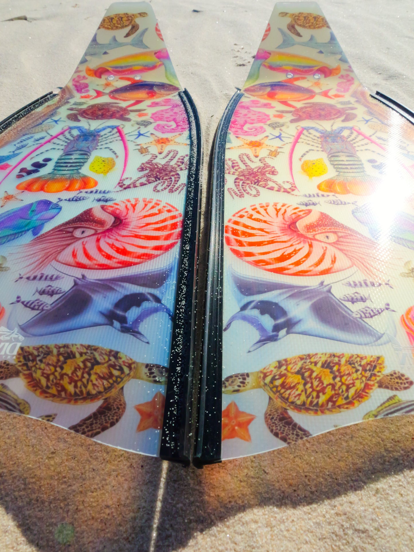 SHORT FINS RAINBOW BLACK