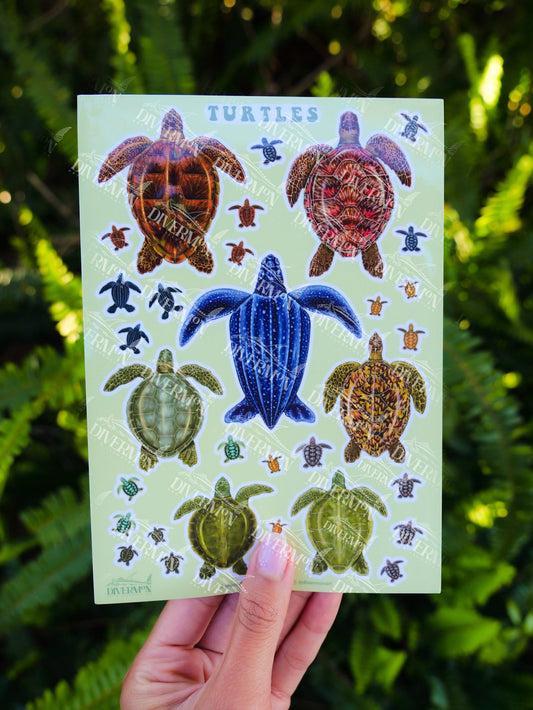 Turtles sticker sheet