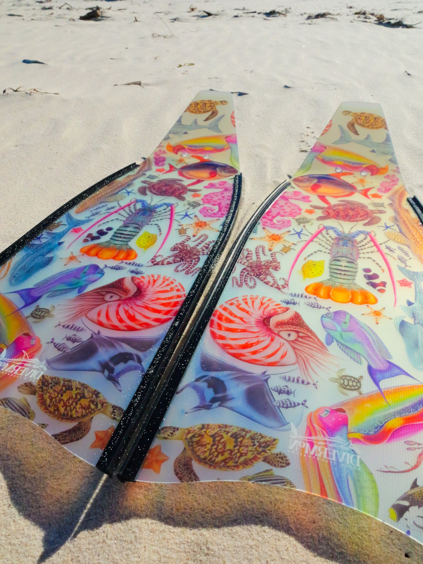 SHORT FINS RAINBOW BLACK