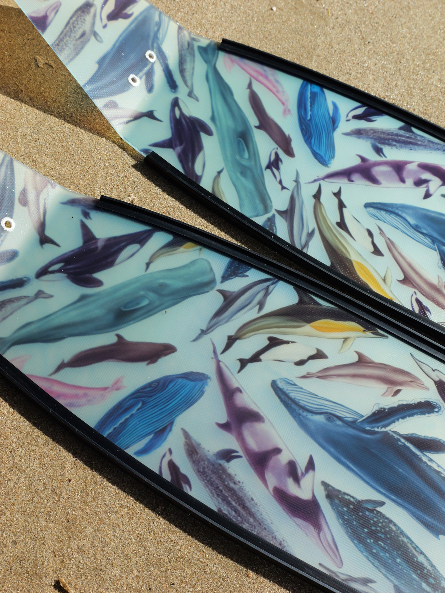 CETACEANS BLACK FREEDIVING FINS