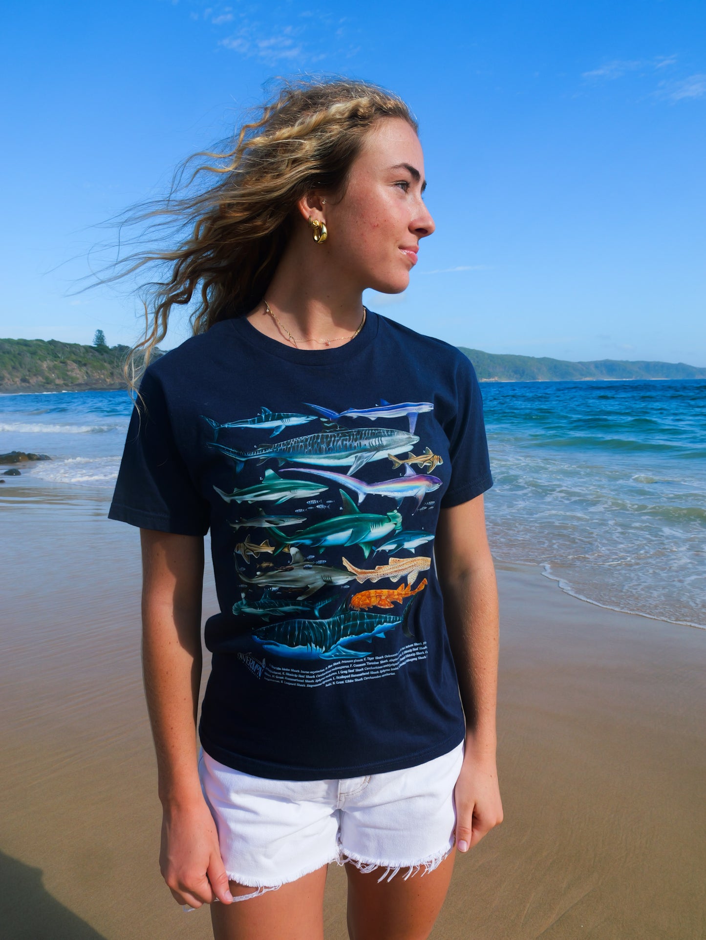 SHARKS NAVY T-SHIRT FRONT