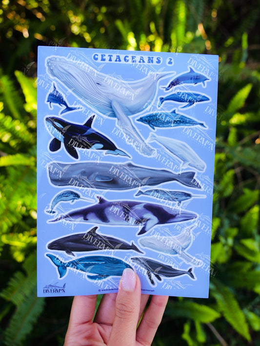 Cetaceans 2 sticker sheet