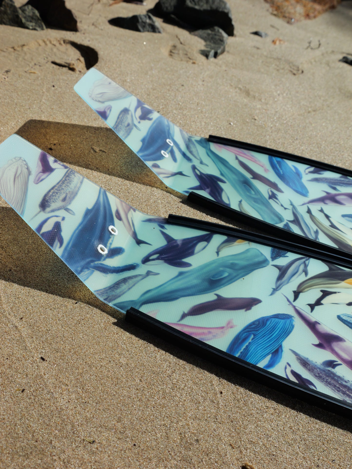 CETACEANS BLACK FREEDIVING FINS