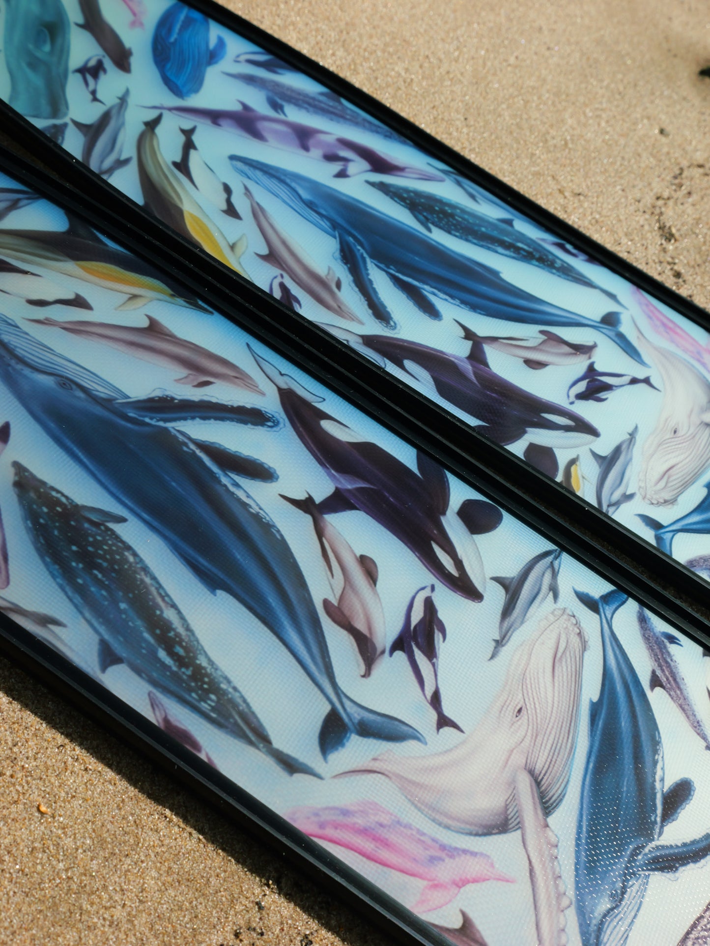 CETACEANS BLACK FREEDIVING FINS
