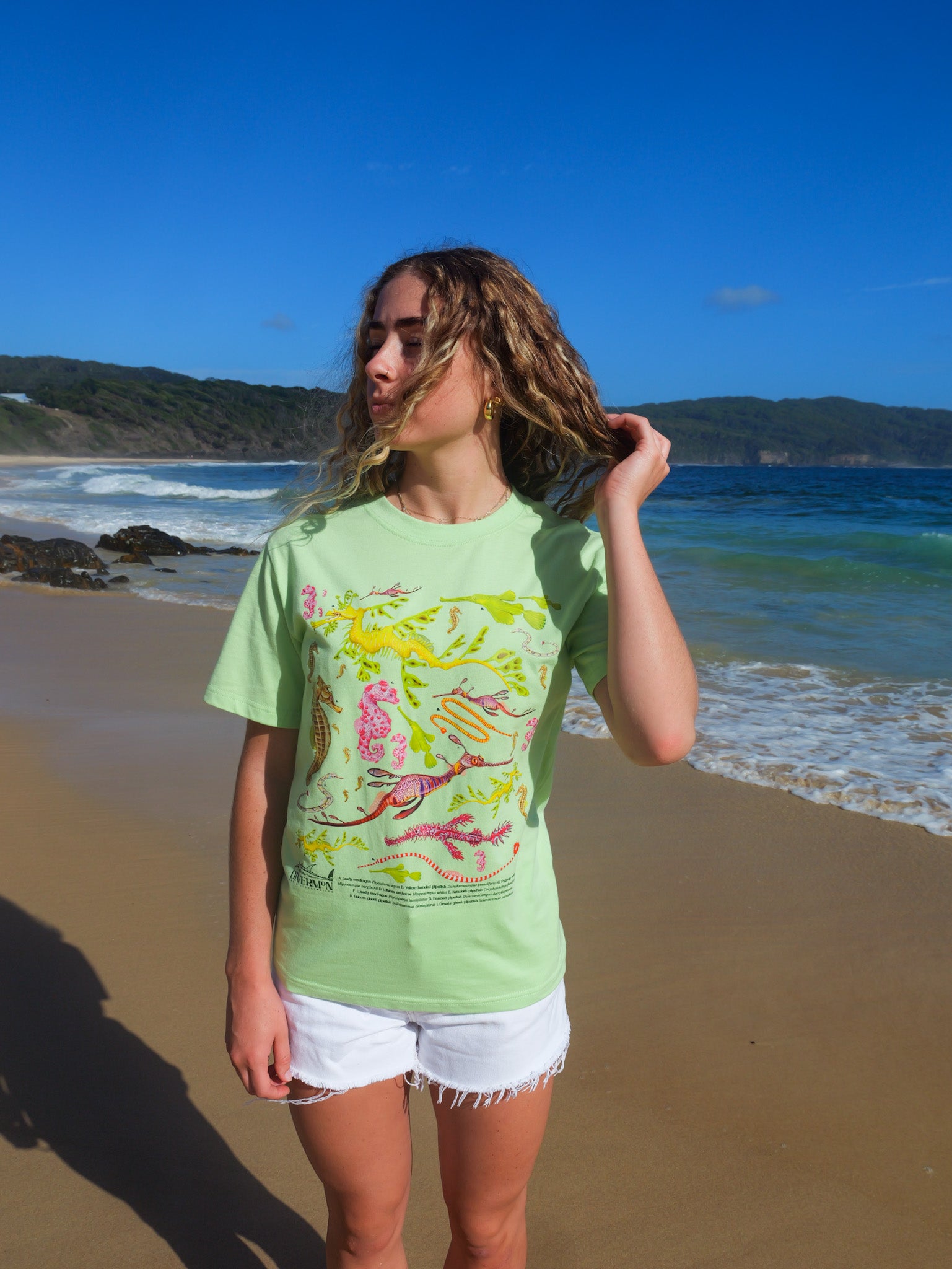 Seahorse unisex tee folded view Divermon Art marine design