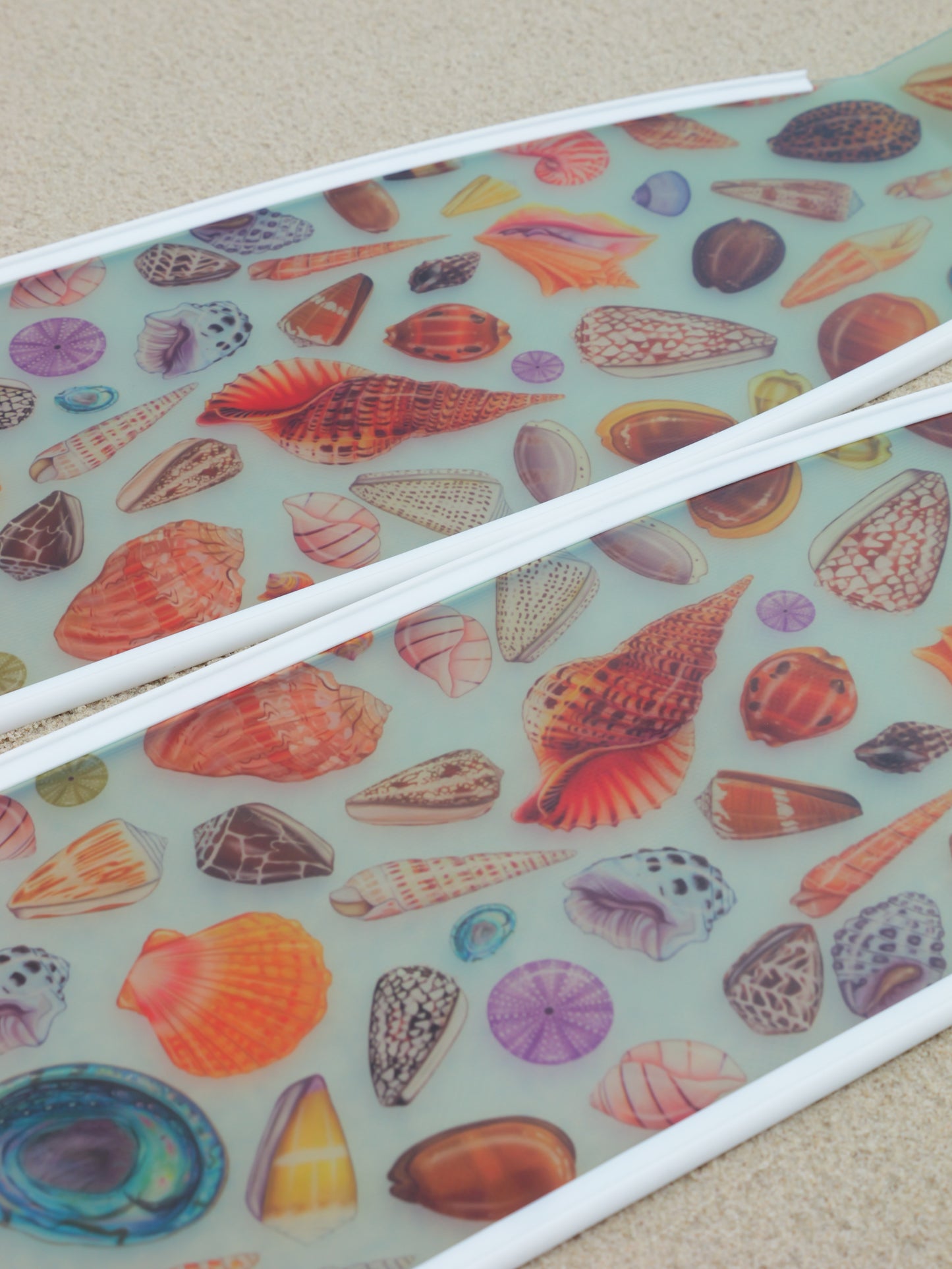 SHELLS FREEDIVING FINS