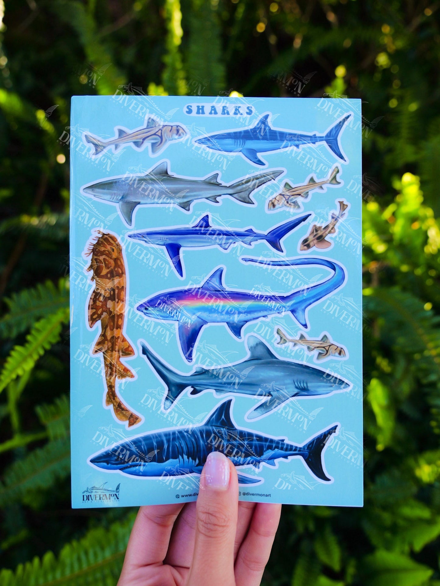 SHARKS sticker sheet