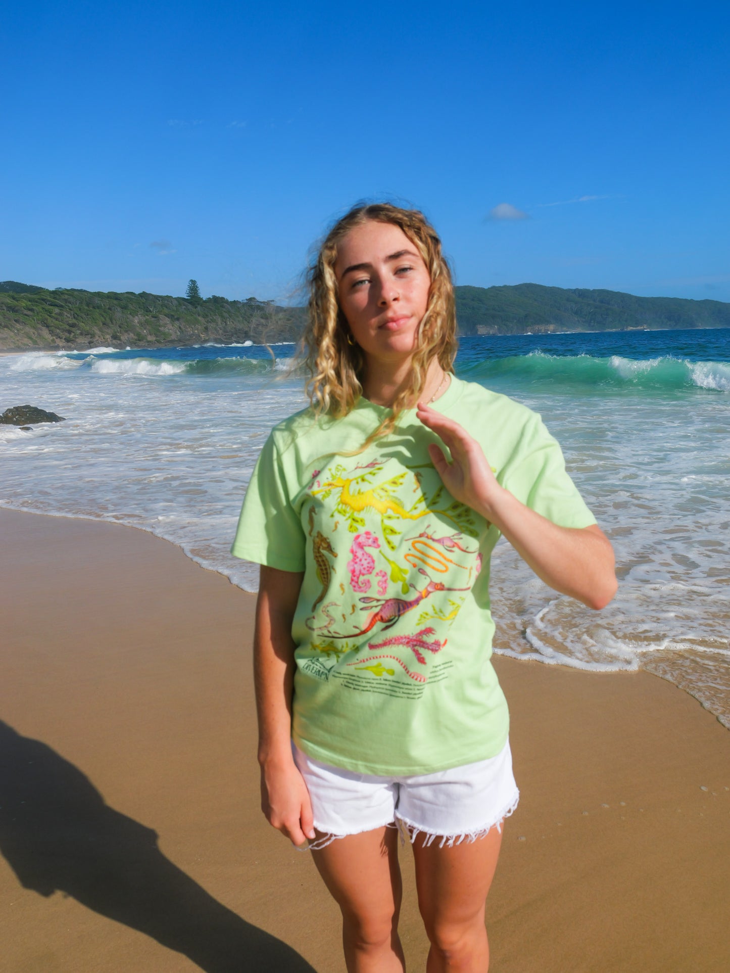 Seahorse t-shirt detail showing Divermon marine life illustration
