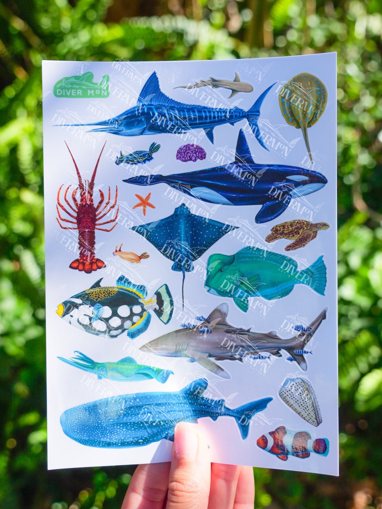 Whale shark sticker sheet