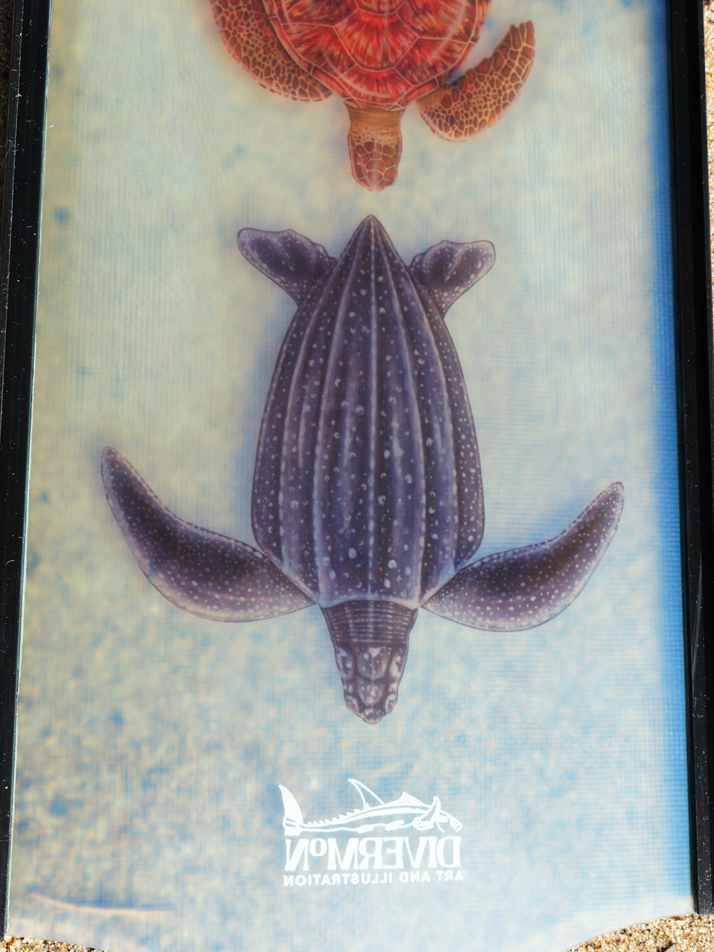 TURTLE BLACK FREEDIVING FINS