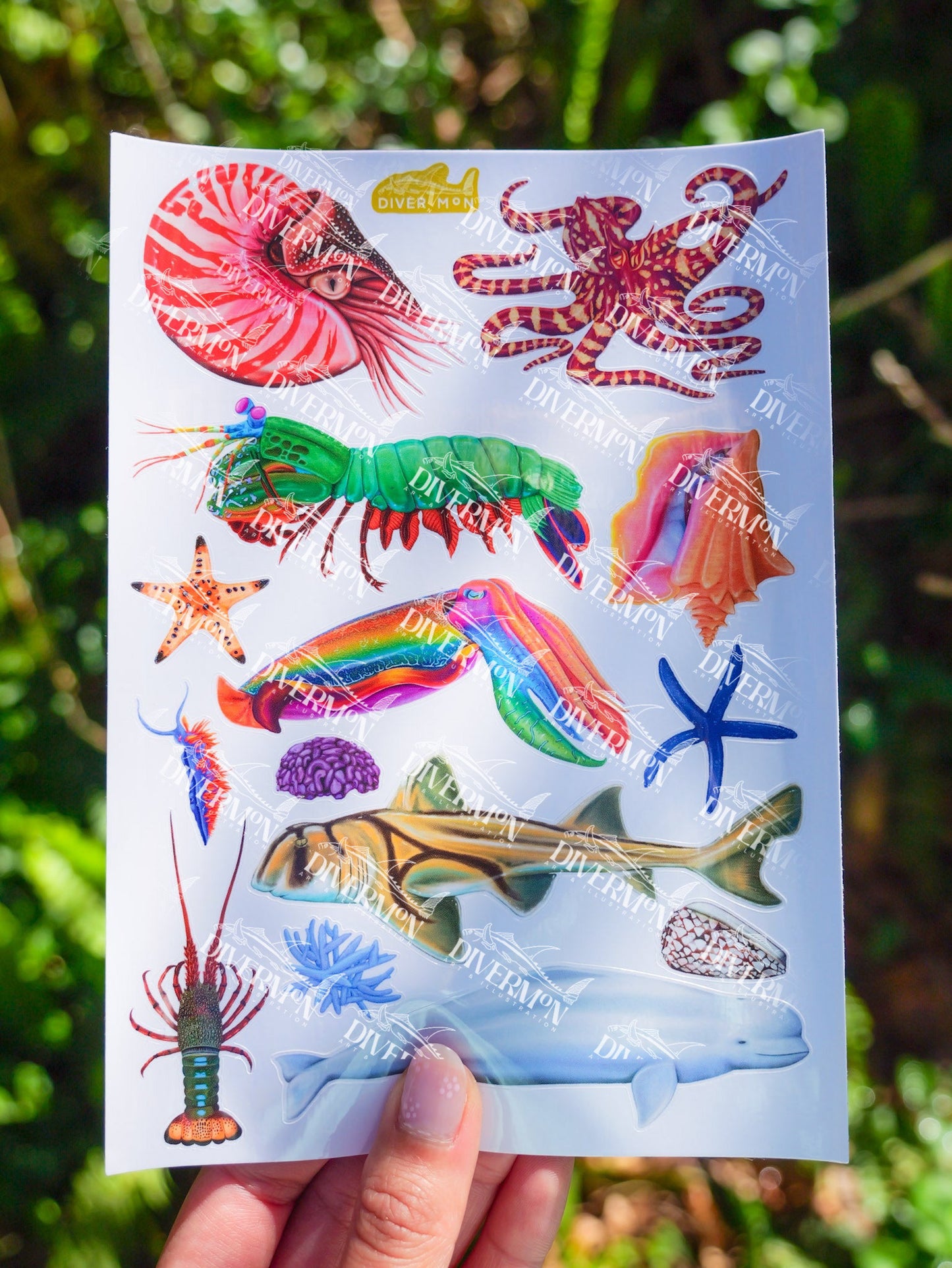 Nautilus sticker sheet