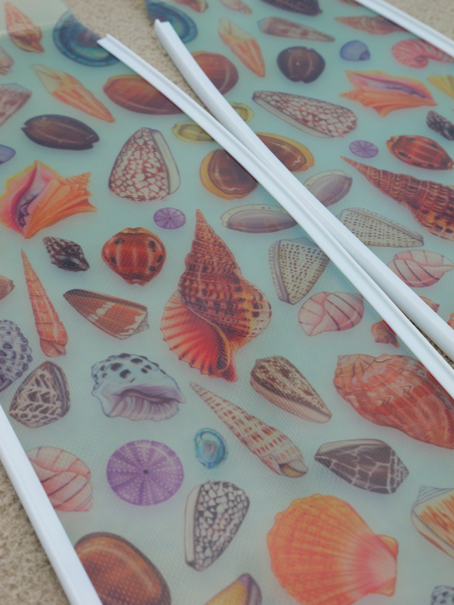 SHELLS FREEDIVING FINS