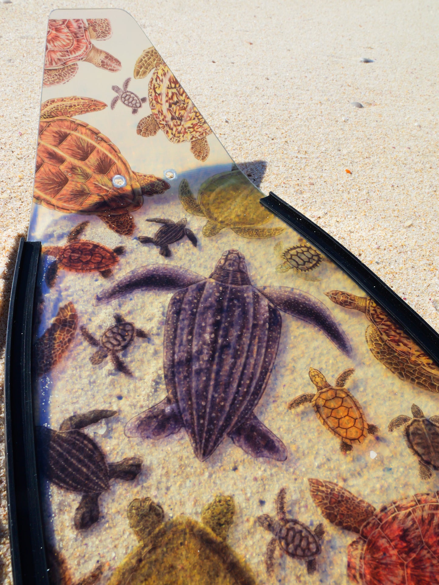 (COMING JULY) SHORT FINS TURTLE BLACK