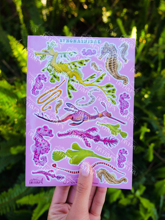 Seahorse sticker sheet