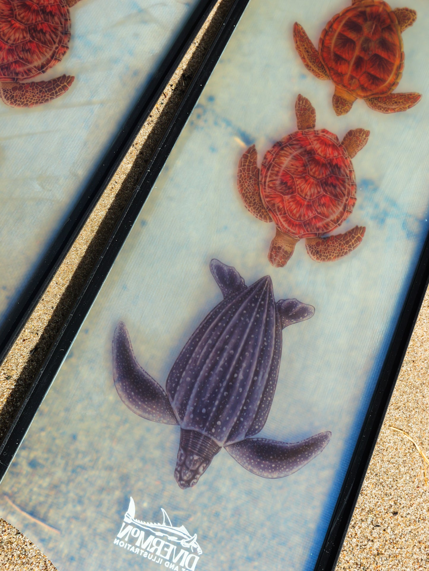TURTLE BLACK FREEDIVING FINS
