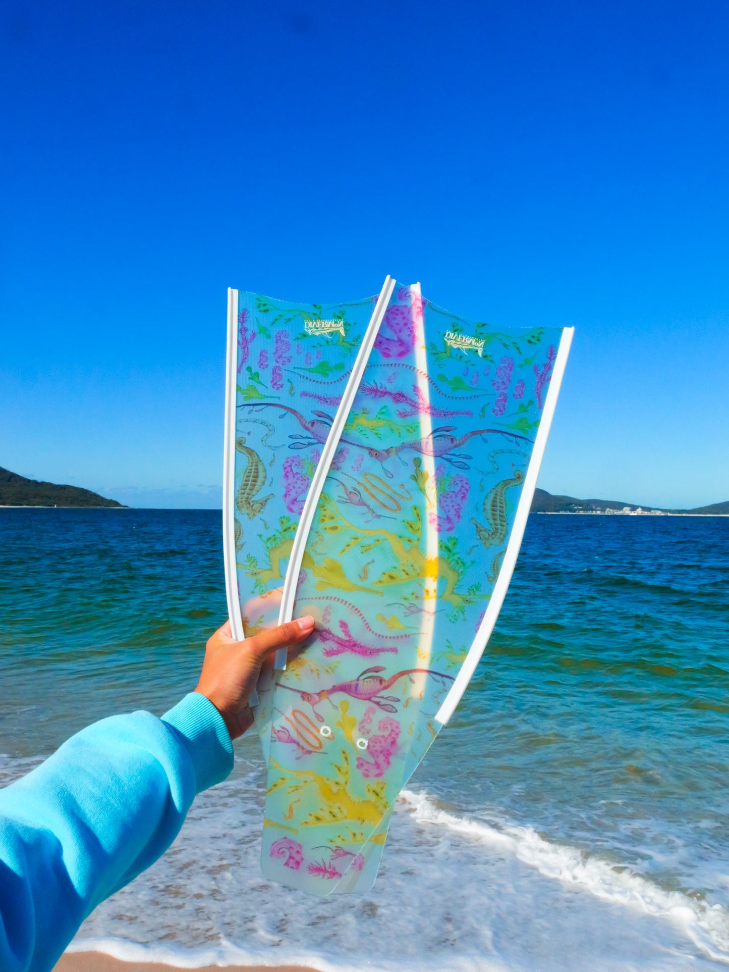SHORT FINS SEAHORSE