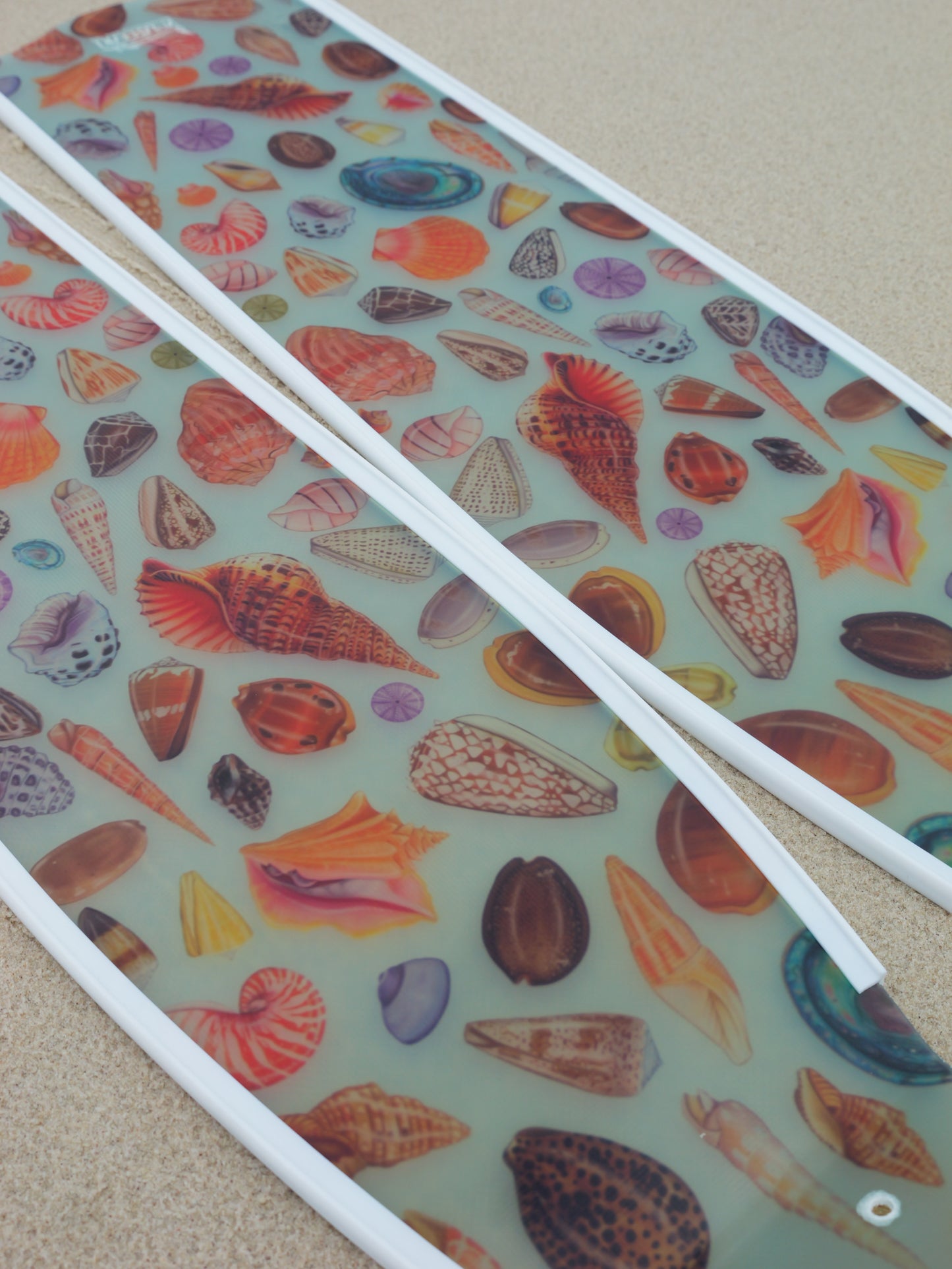 SHELLS FREEDIVING FINS