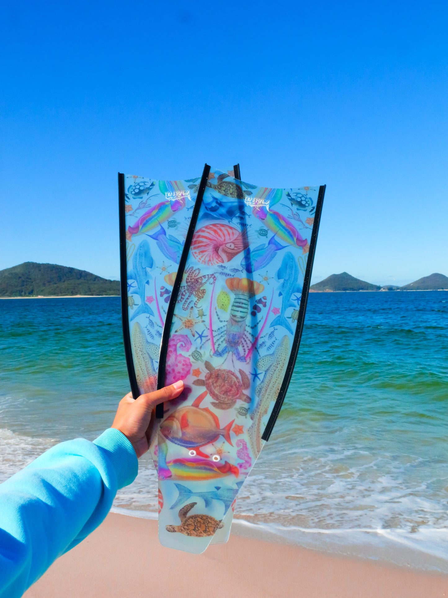 SHORT FINS RAINBOW BLACK