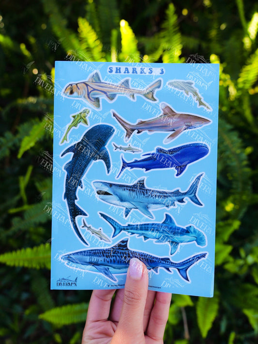 Sharks 3 sticker sheet
