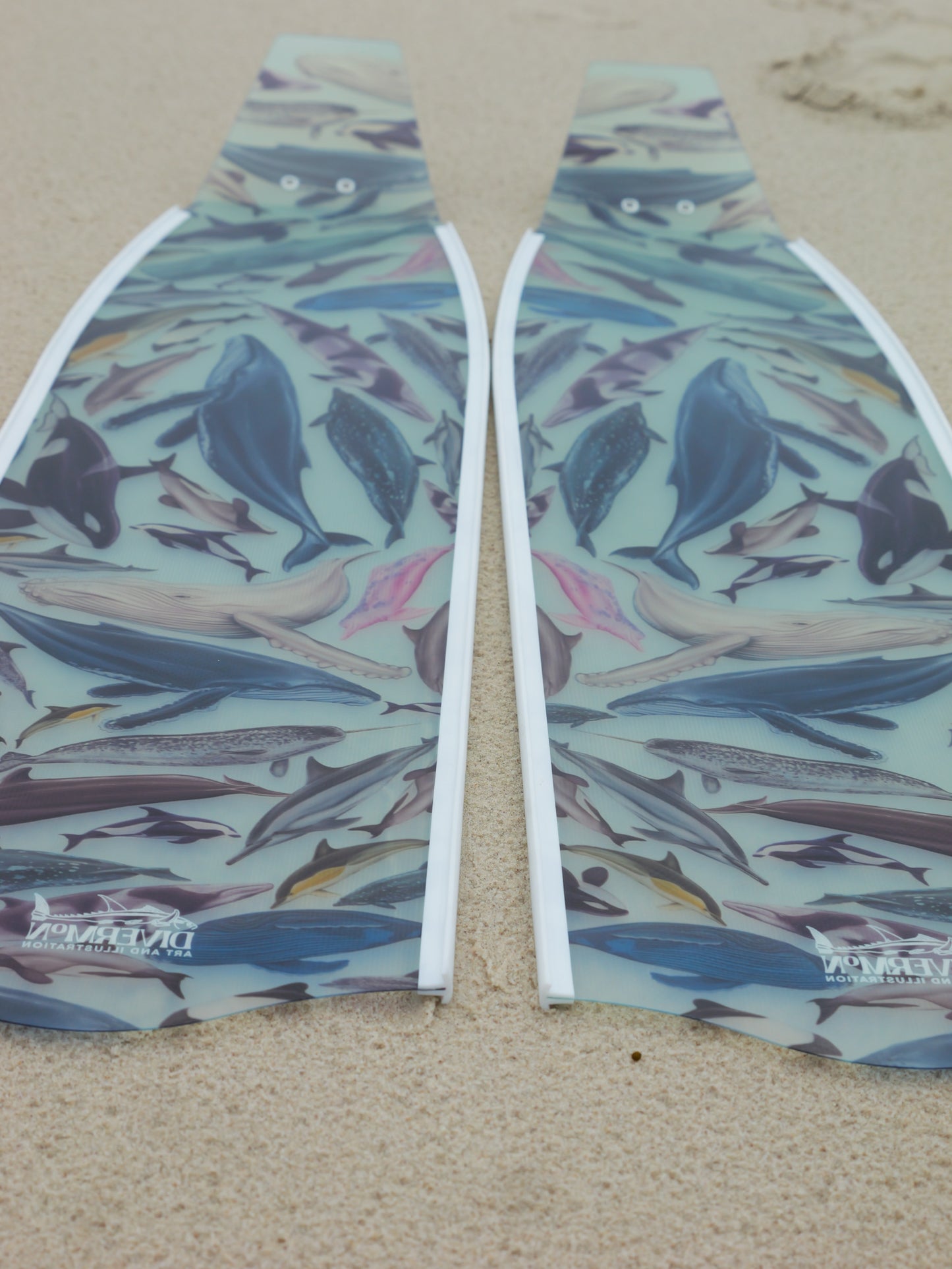 CETACEANS FREEDIVING FINS