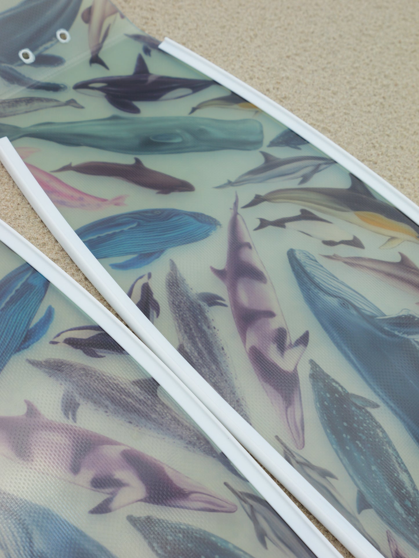 CETACEANS FREEDIVING FINS