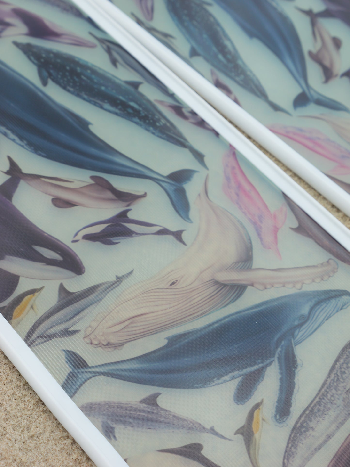 CETACEANS FREEDIVING FINS