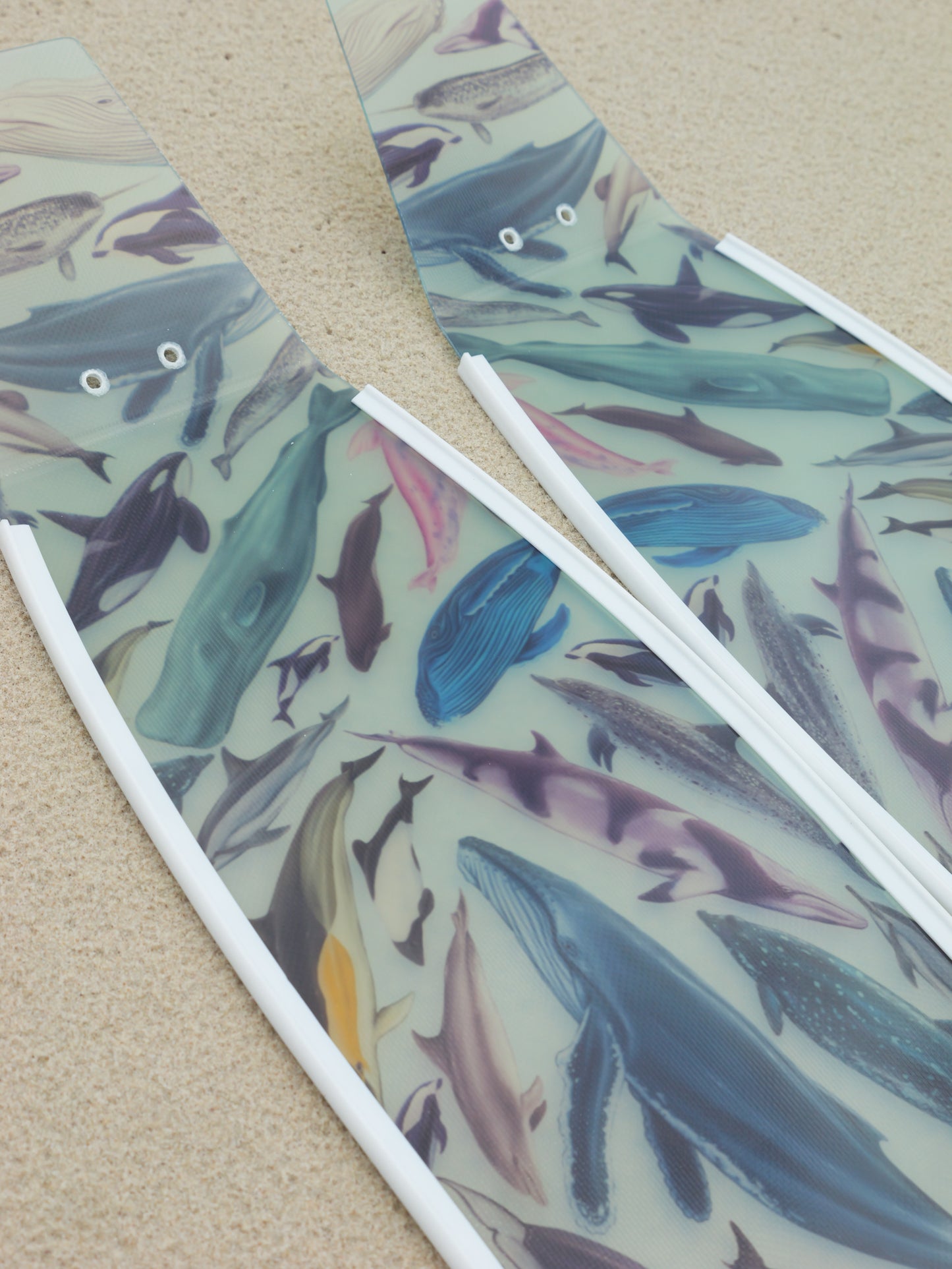 CETACEANS FREEDIVING FINS