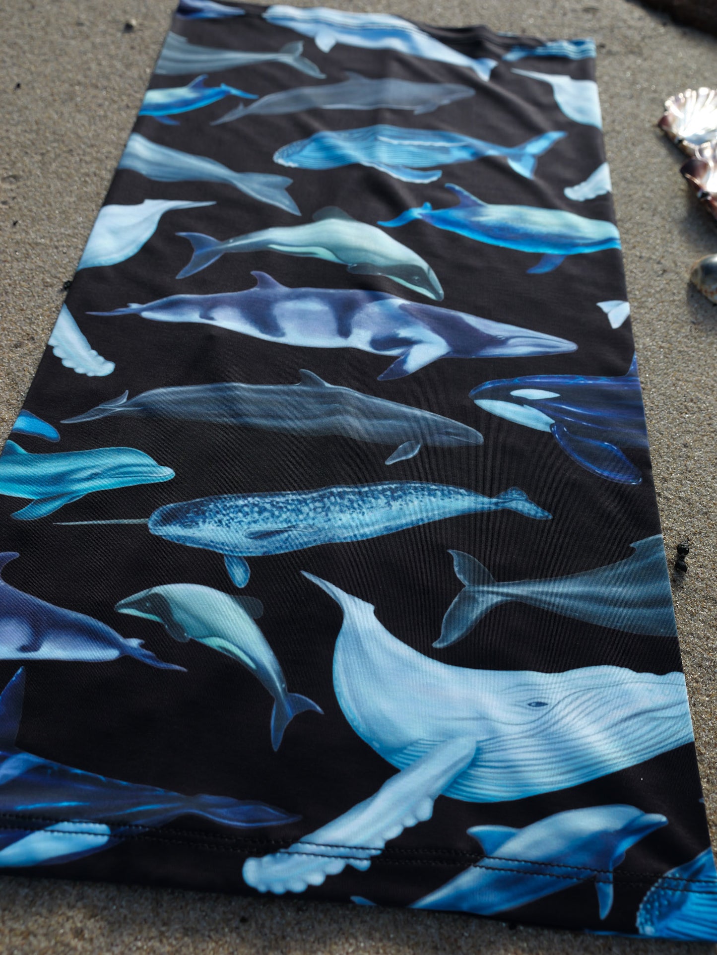 CETACEANS 2.0 BLACK GAITER