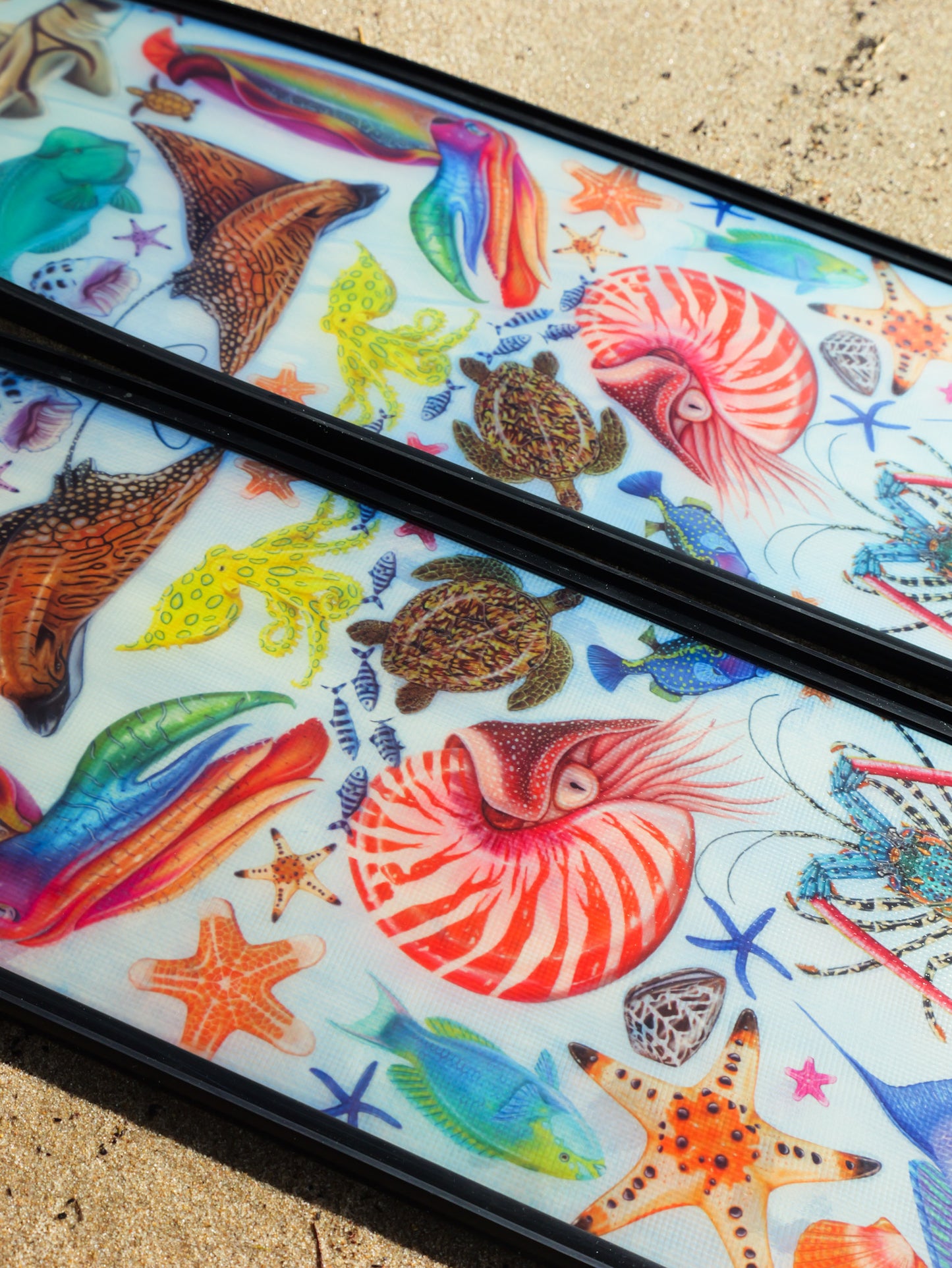 Rainbow Black freediving fins pair Divermon Art ocean illustration
