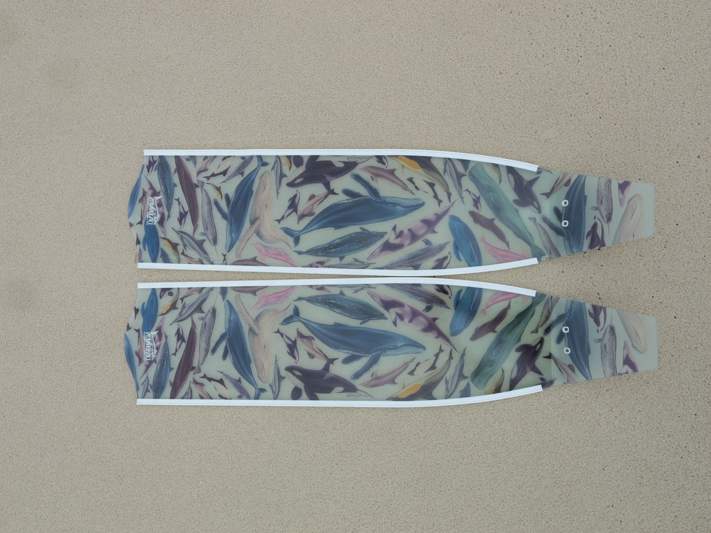 CETACEANS FREEDIVING FINS