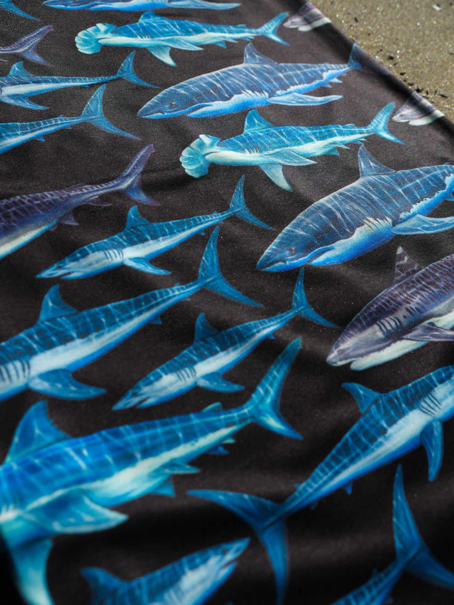 SHARKS BLACK GAITER