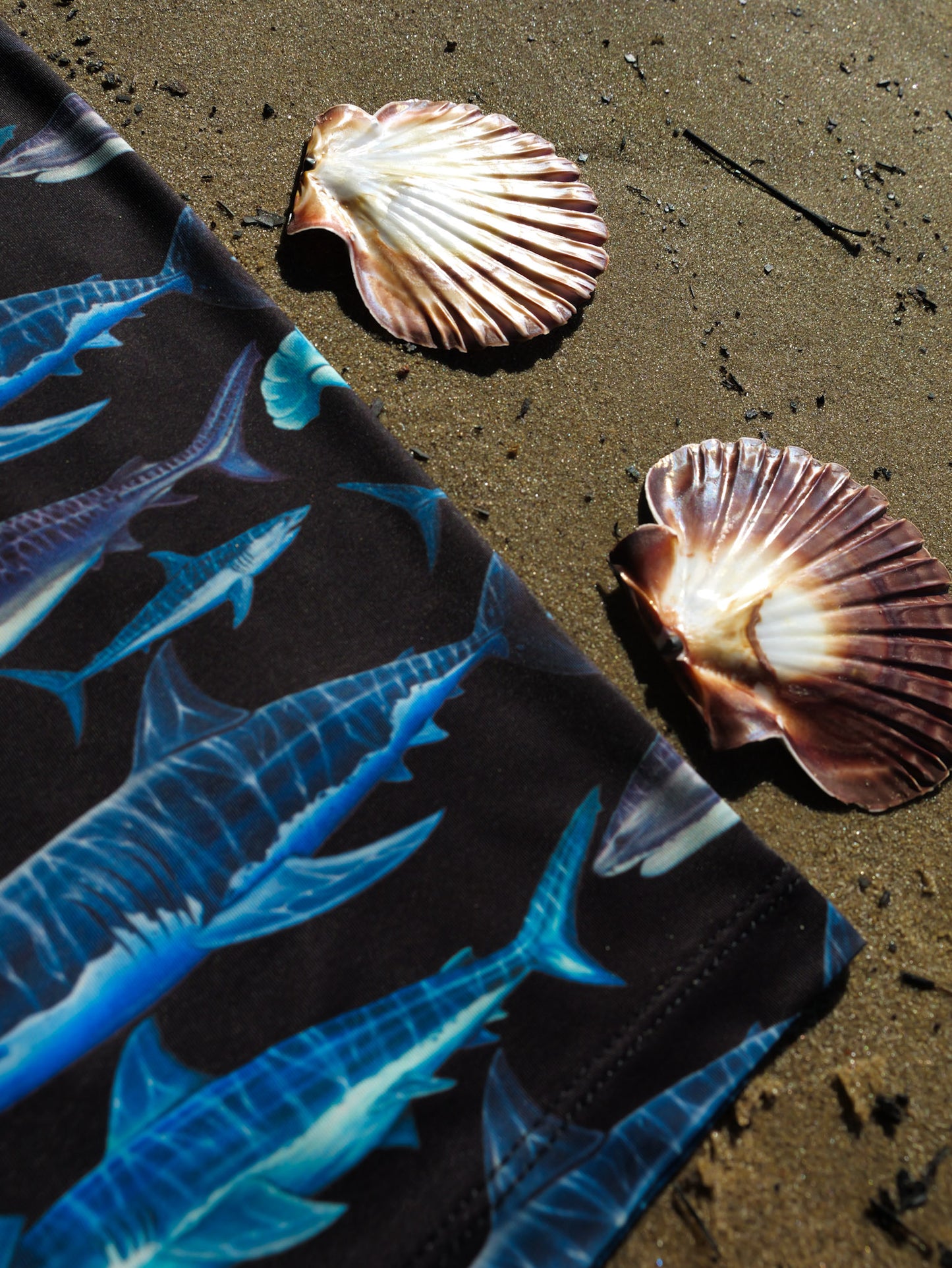 SHARKS BLACK GAITER