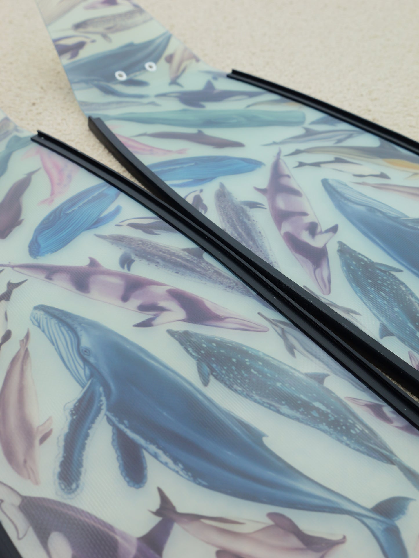 CETACEANS FREEDIVING FINS