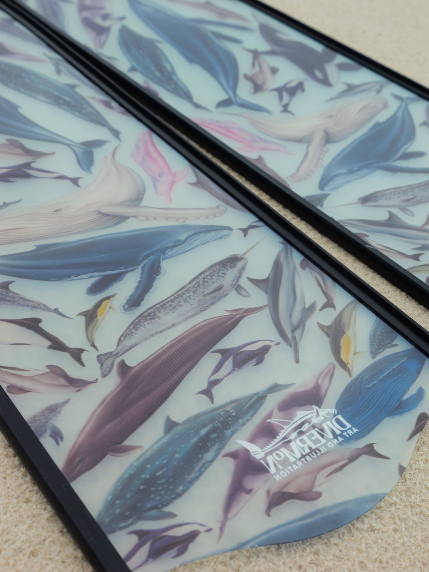 CETACEANS FREEDIVING FINS