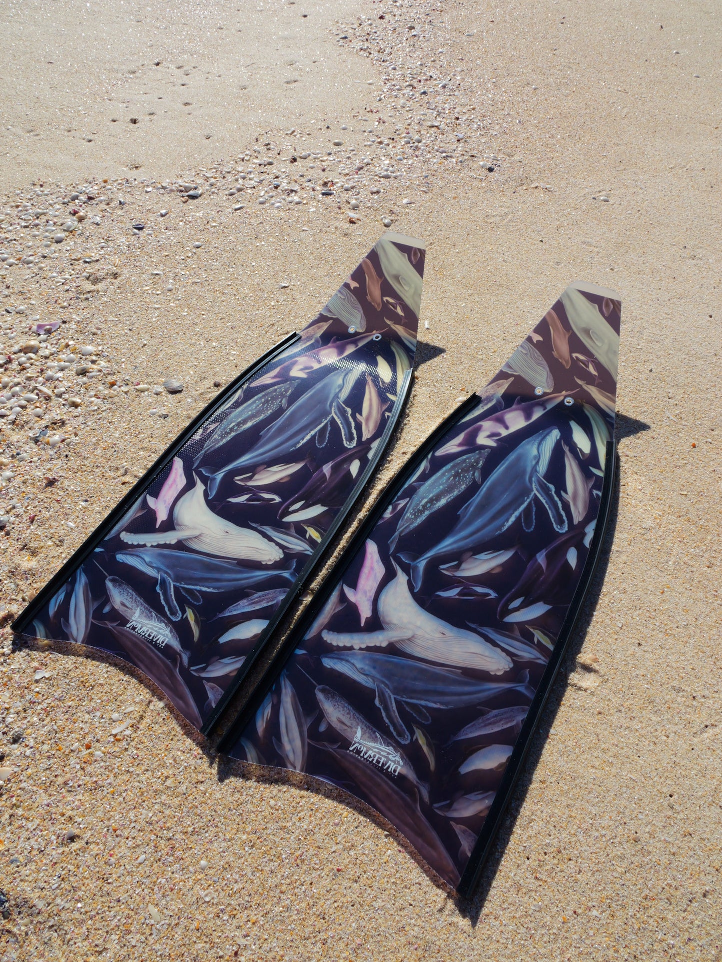(COMING JULY) SHORT FINS CETACEANS INDIGO