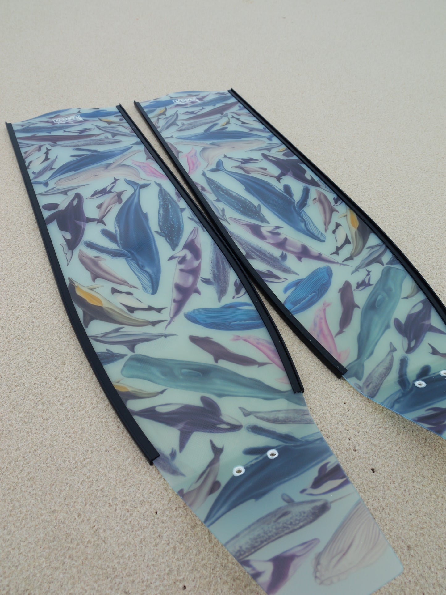CETACEANS FREEDIVING FINS