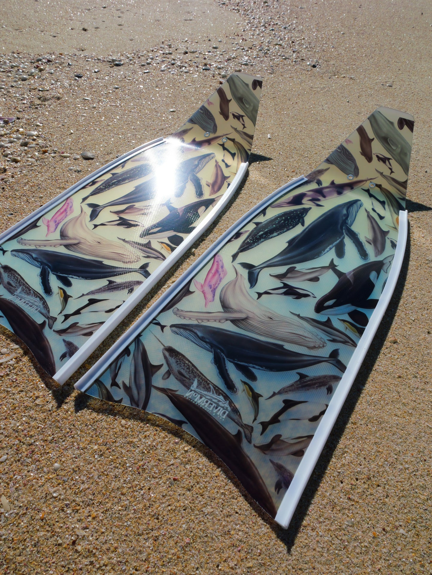 (COMING JULY) SHORT FINS CETACEANS WHITE