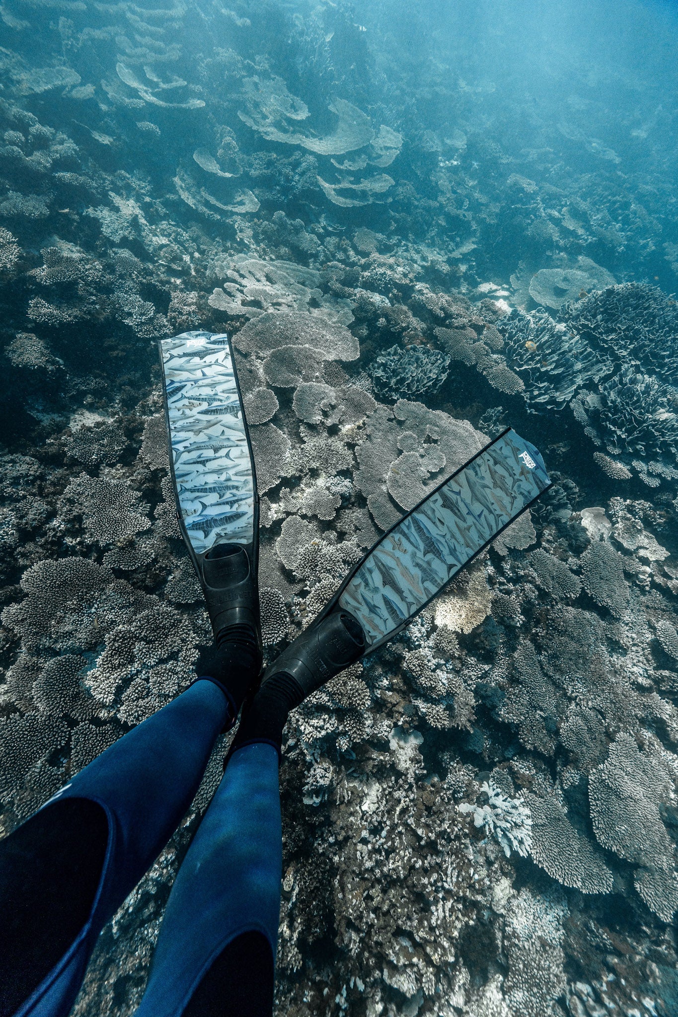SHARK FREEDIVING FINS