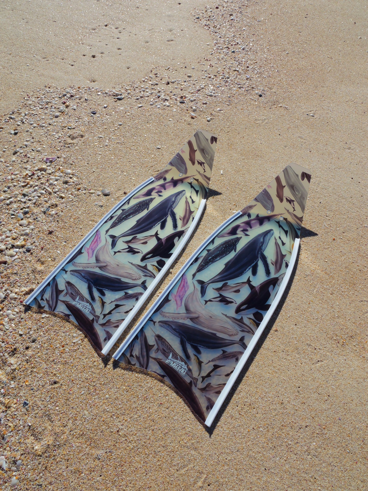 (COMING JULY) SHORT FINS CETACEANS WHITE