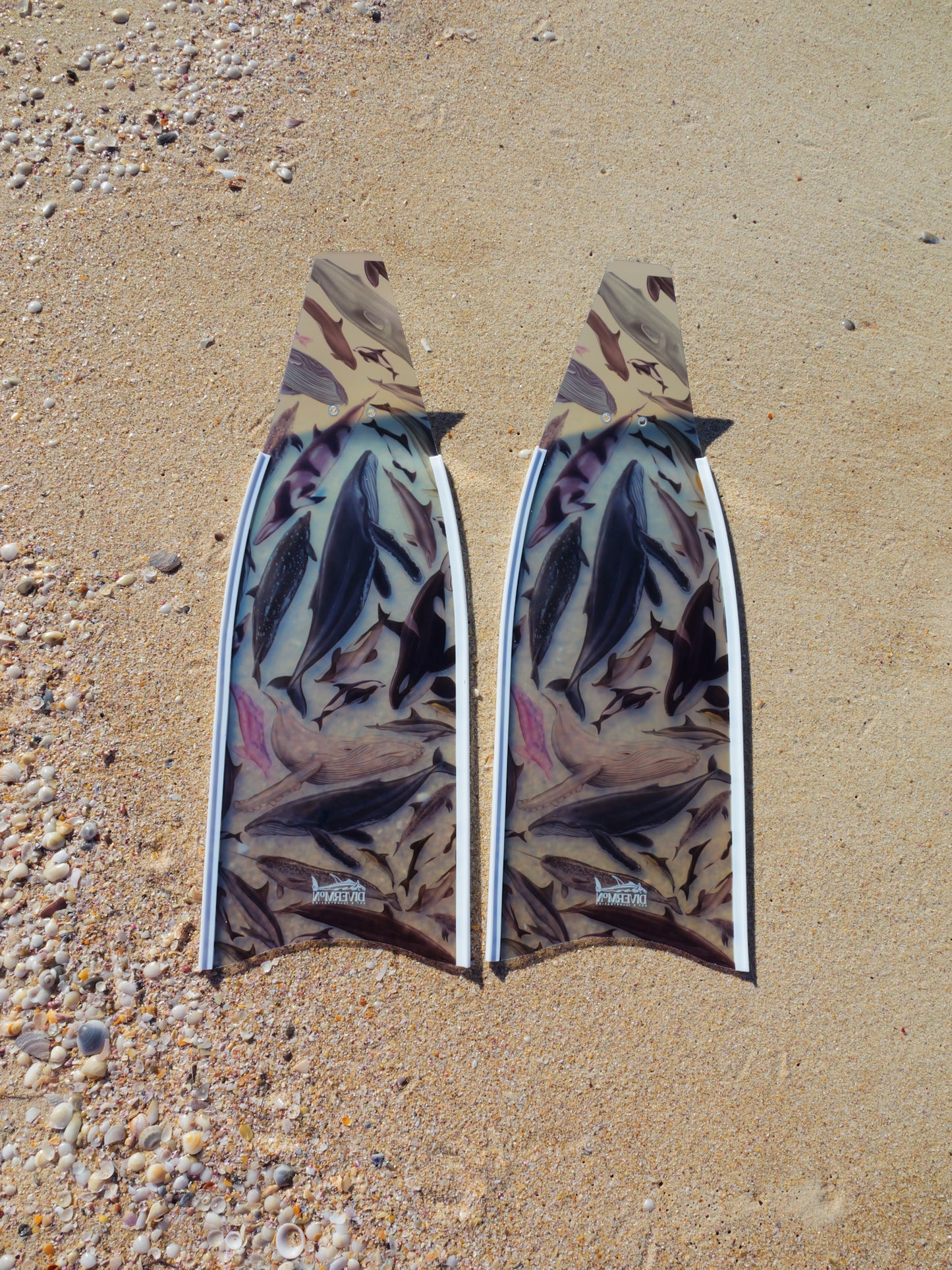 (COMING JULY) SHORT FINS CETACEANS WHITE