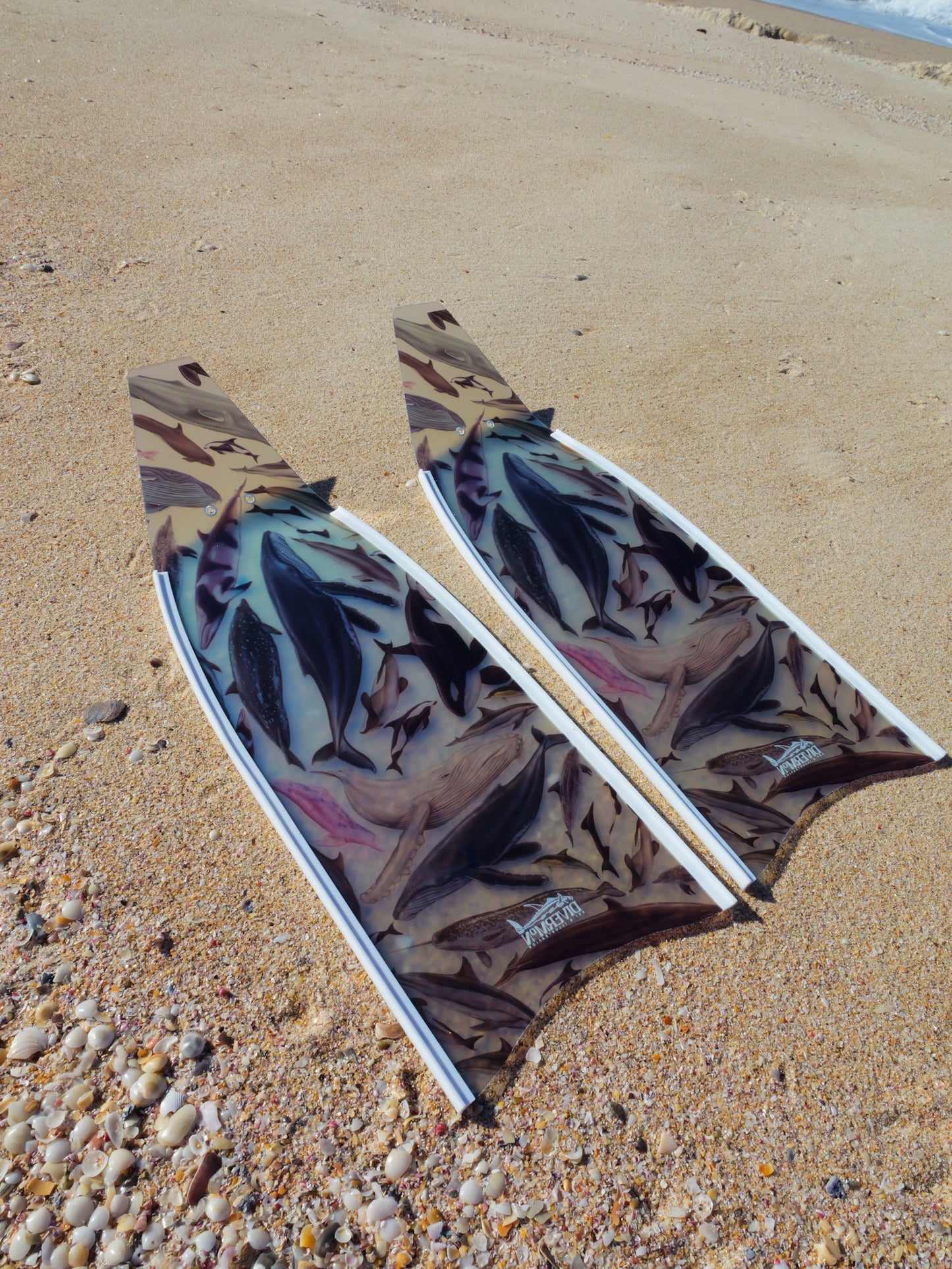 (COMING JULY) SHORT FINS CETACEANS WHITE
