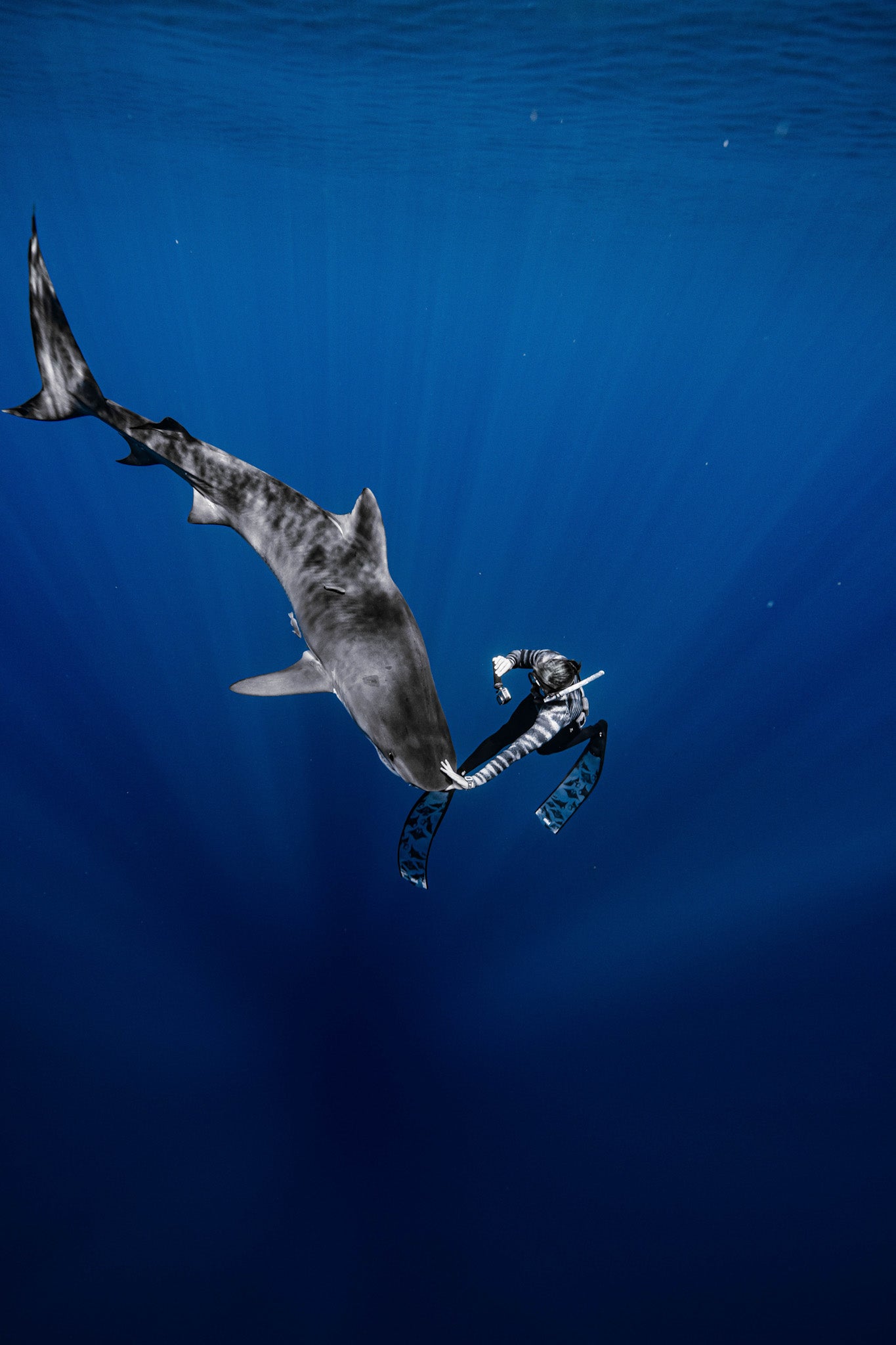 MANTA BLACK FREEDIVING FINS