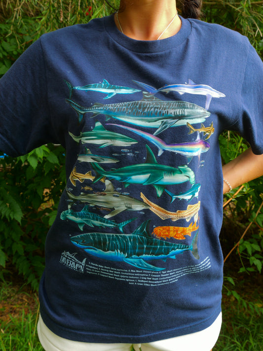 SHARKS NAVY T-SHIRT FRONT