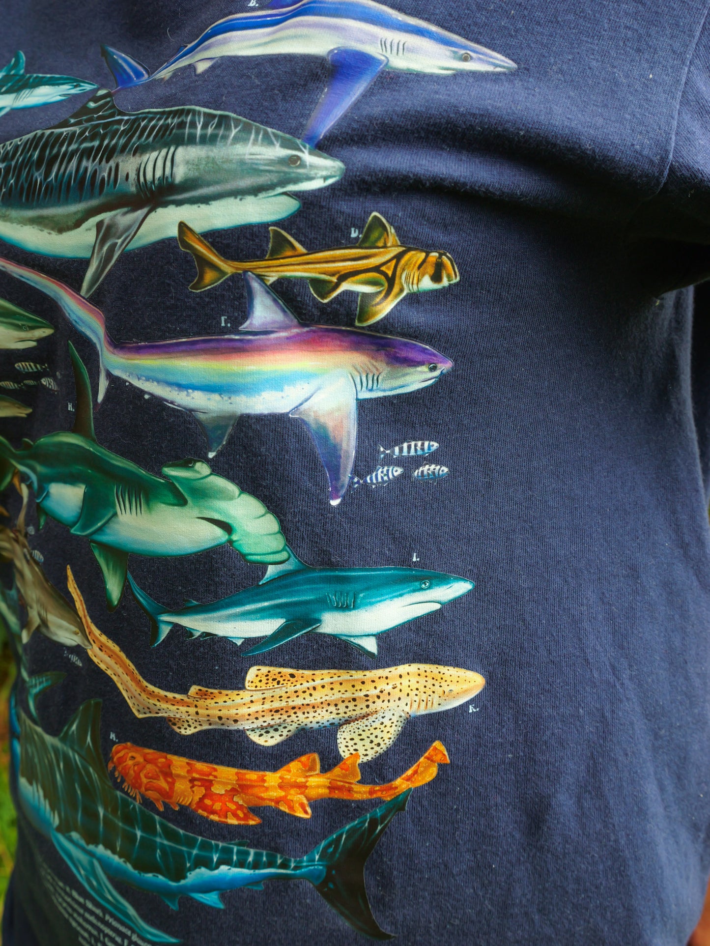 SHARKS NAVY T-SHIRT FRONT