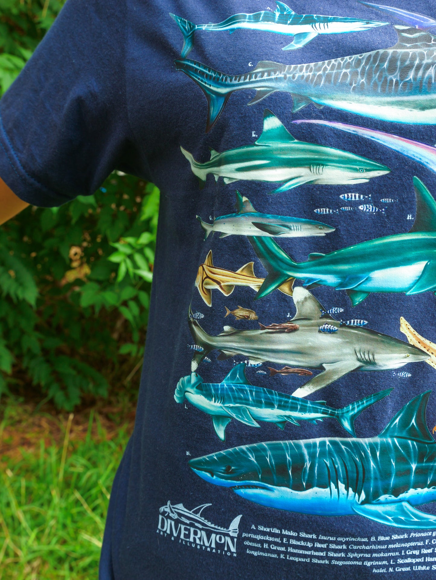 SHARKS NAVY T-SHIRT FRONT