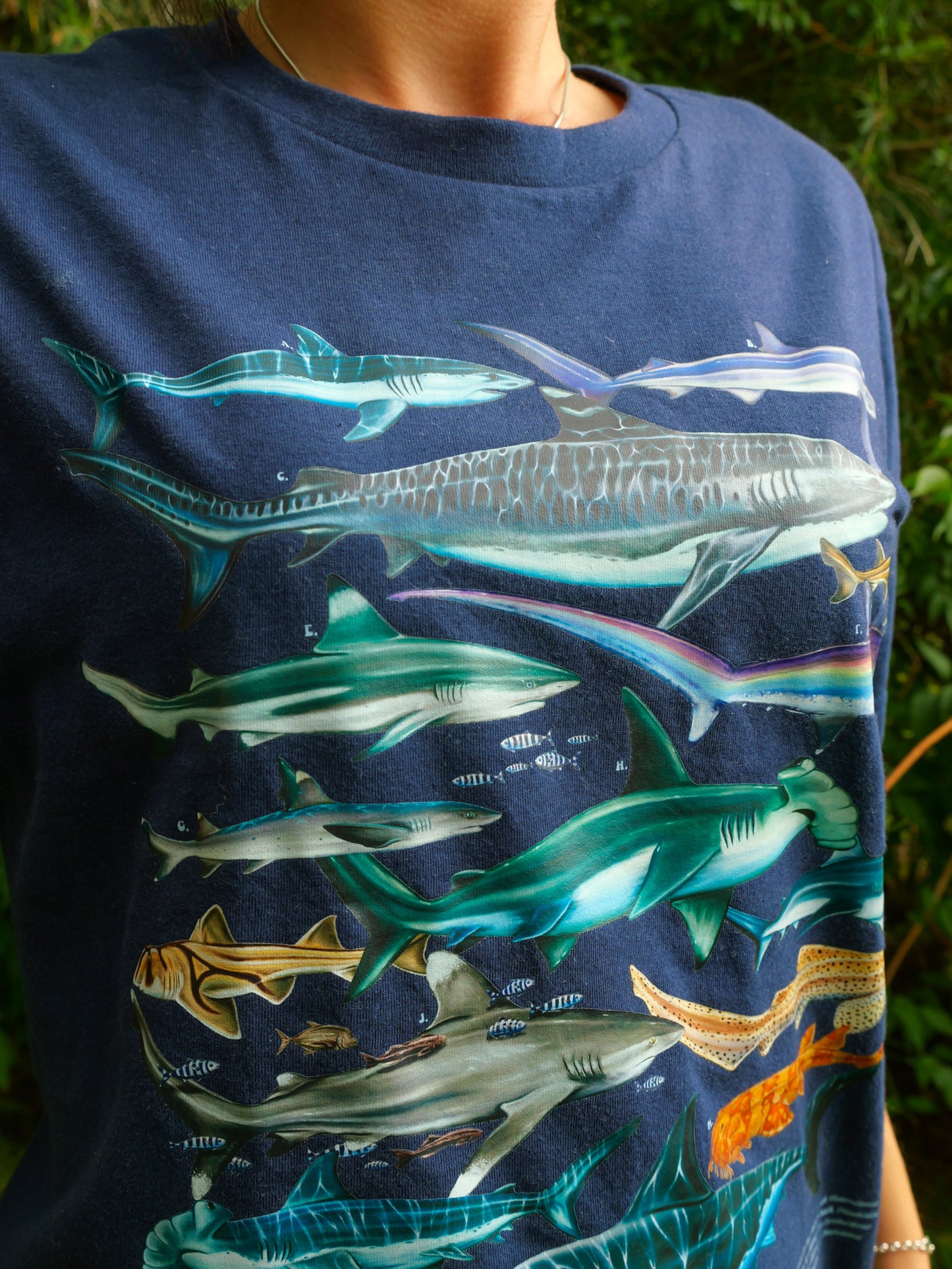 SHARKS NAVY T-SHIRT FRONT