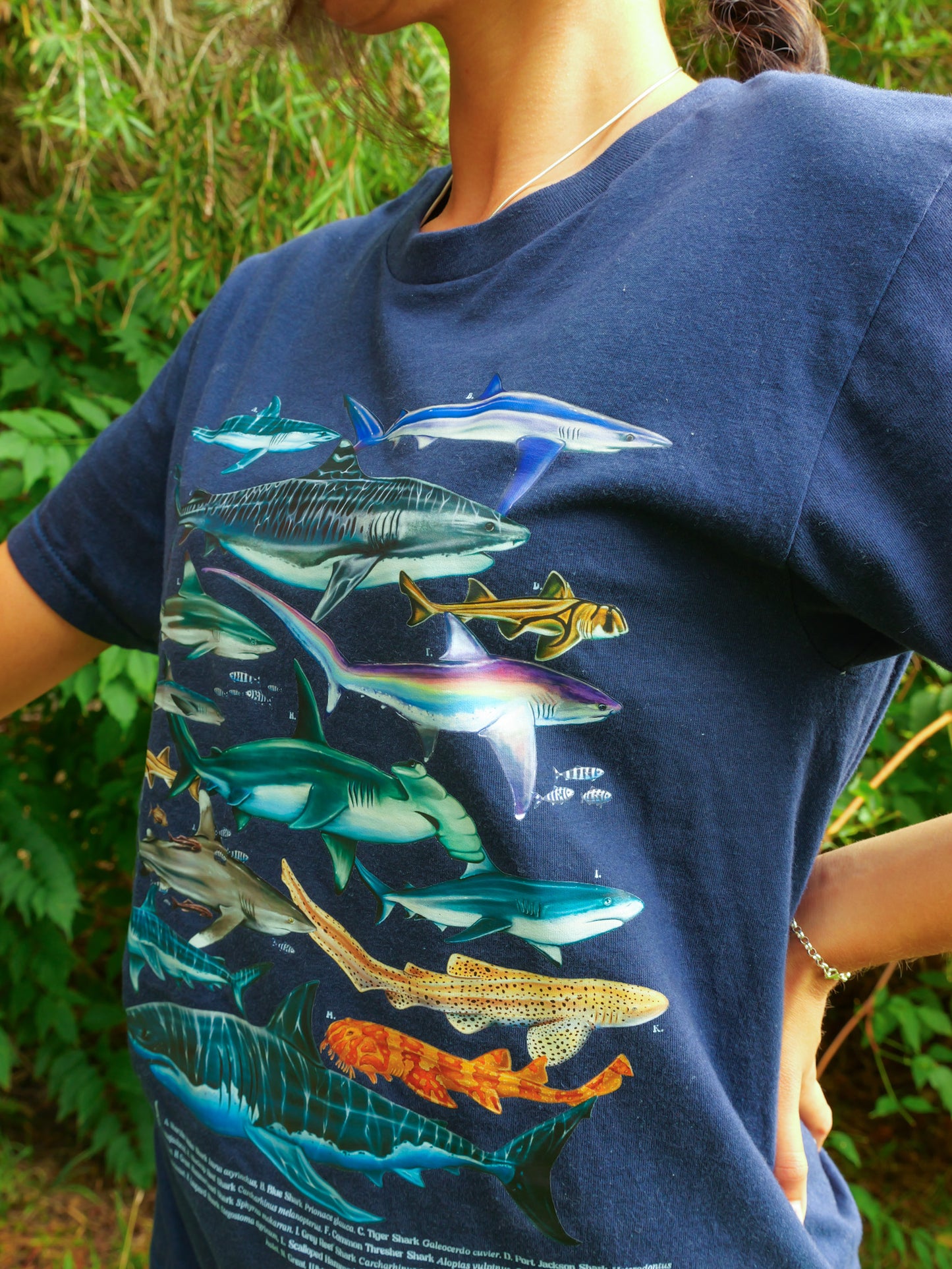 SHARKS NAVY T-SHIRT FRONT