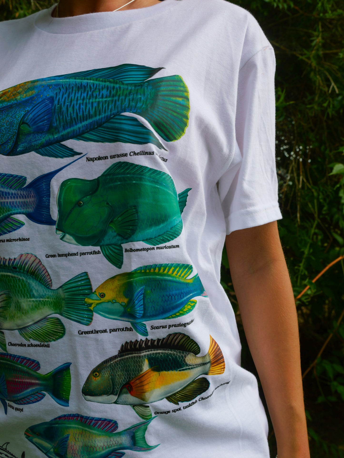 REEF FISH T-SHIRT FRONT