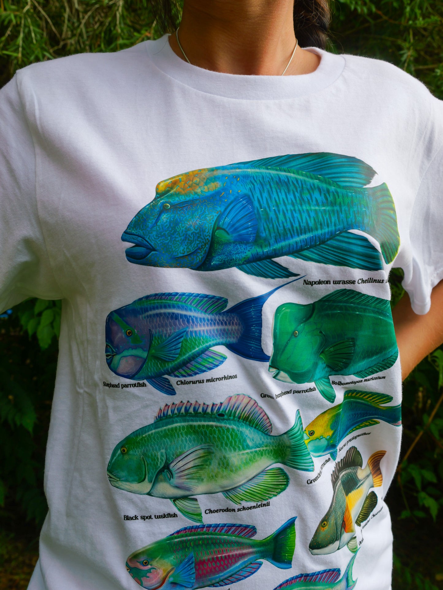 REEF FISH T-SHIRT FRONT