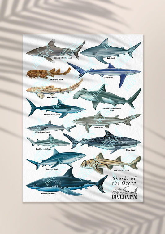 SHARKS OF THE OCEAN PRINT